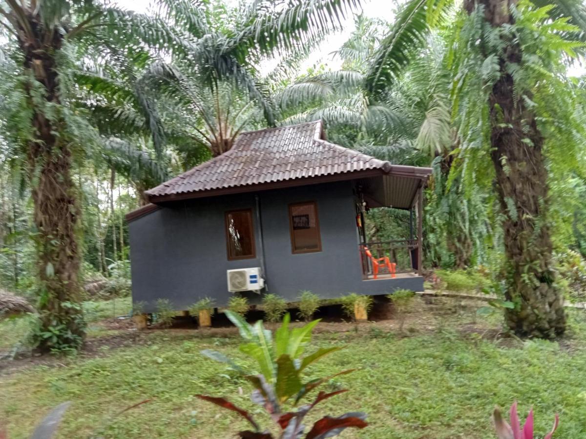 منتجع كاو سوك بالم جاردن Khao Sok National Park المظهر الخارجي الصورة
