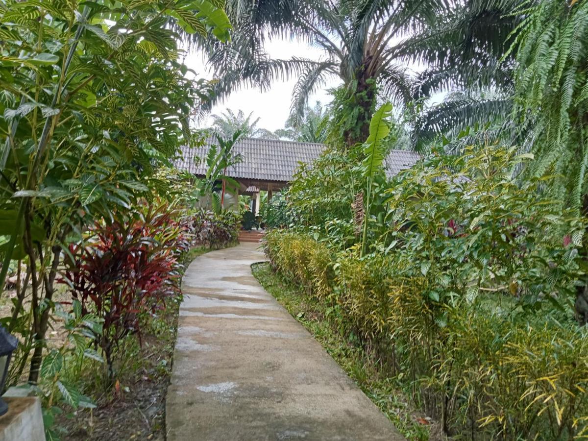 منتجع كاو سوك بالم جاردن Khao Sok National Park المظهر الخارجي الصورة