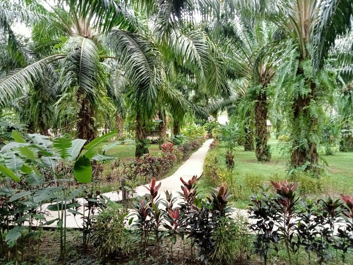 منتجع كاو سوك بالم جاردن Khao Sok National Park المظهر الخارجي الصورة