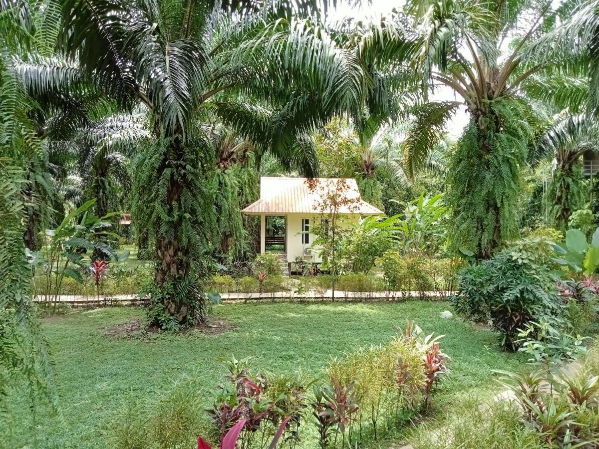 منتجع كاو سوك بالم جاردن Khao Sok National Park المظهر الخارجي الصورة