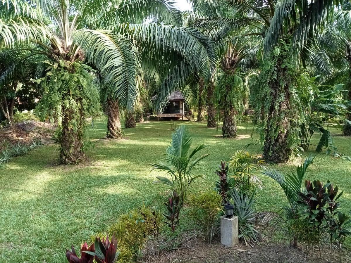 منتجع كاو سوك بالم جاردن Khao Sok National Park المظهر الخارجي الصورة