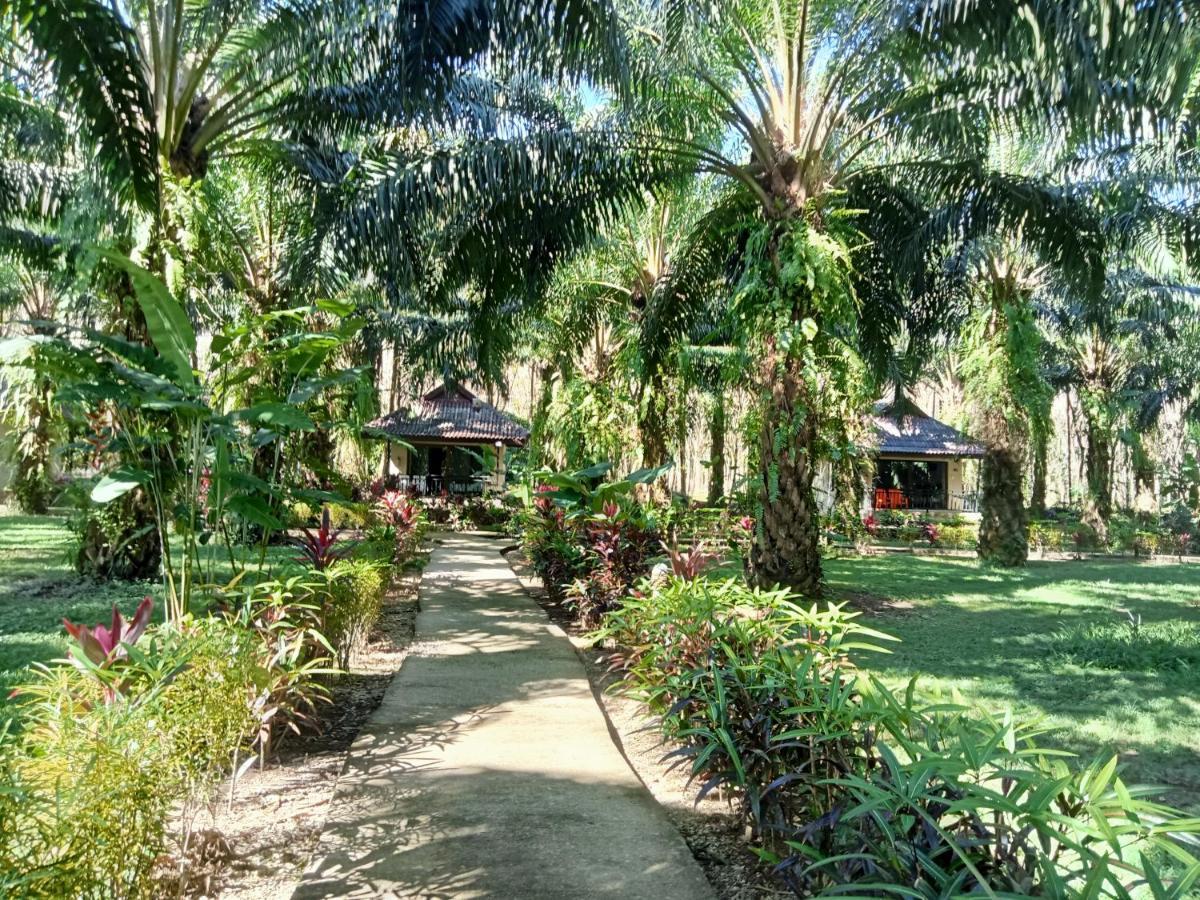 منتجع كاو سوك بالم جاردن Khao Sok National Park المظهر الخارجي الصورة