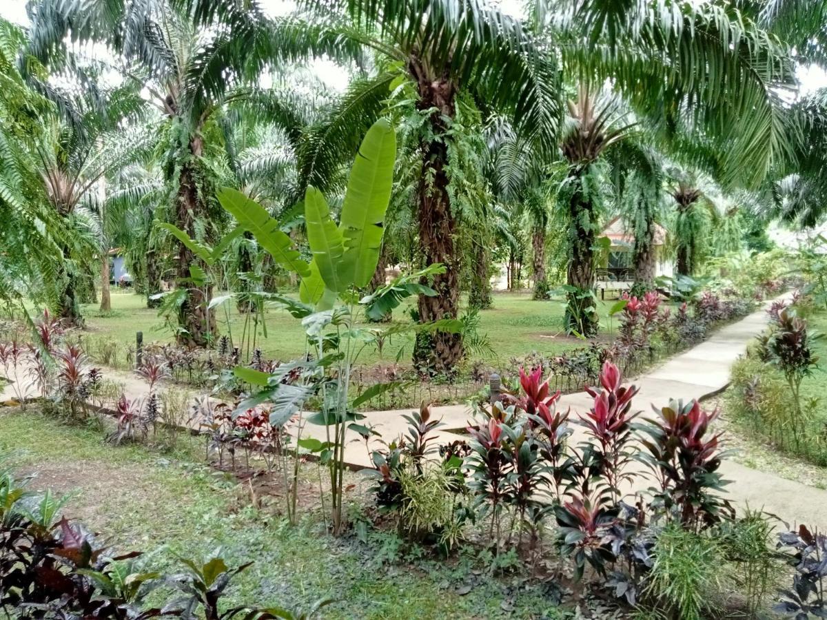 منتجع كاو سوك بالم جاردن Khao Sok National Park المظهر الخارجي الصورة