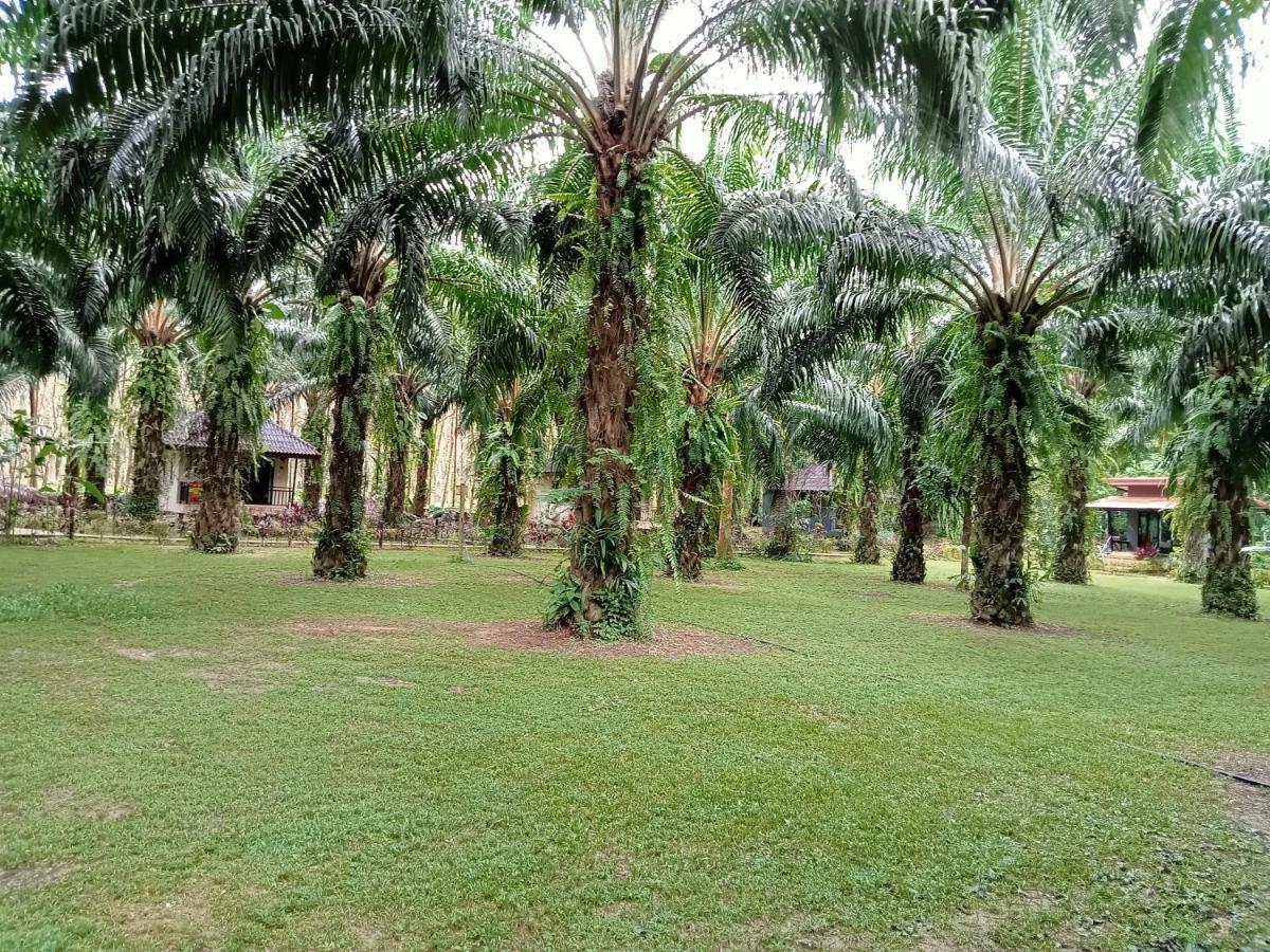 منتجع كاو سوك بالم جاردن Khao Sok National Park المظهر الخارجي الصورة