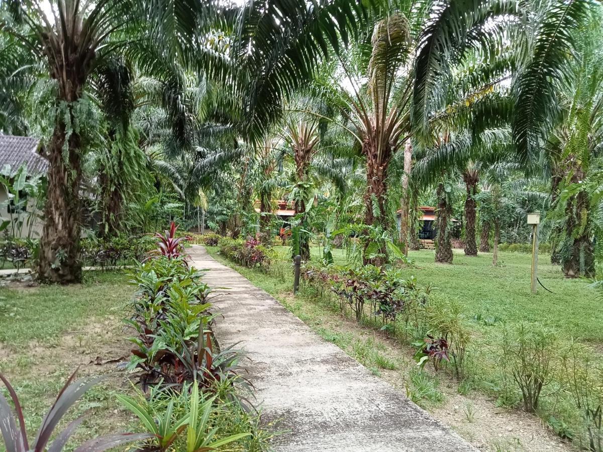 منتجع كاو سوك بالم جاردن Khao Sok National Park المظهر الخارجي الصورة
