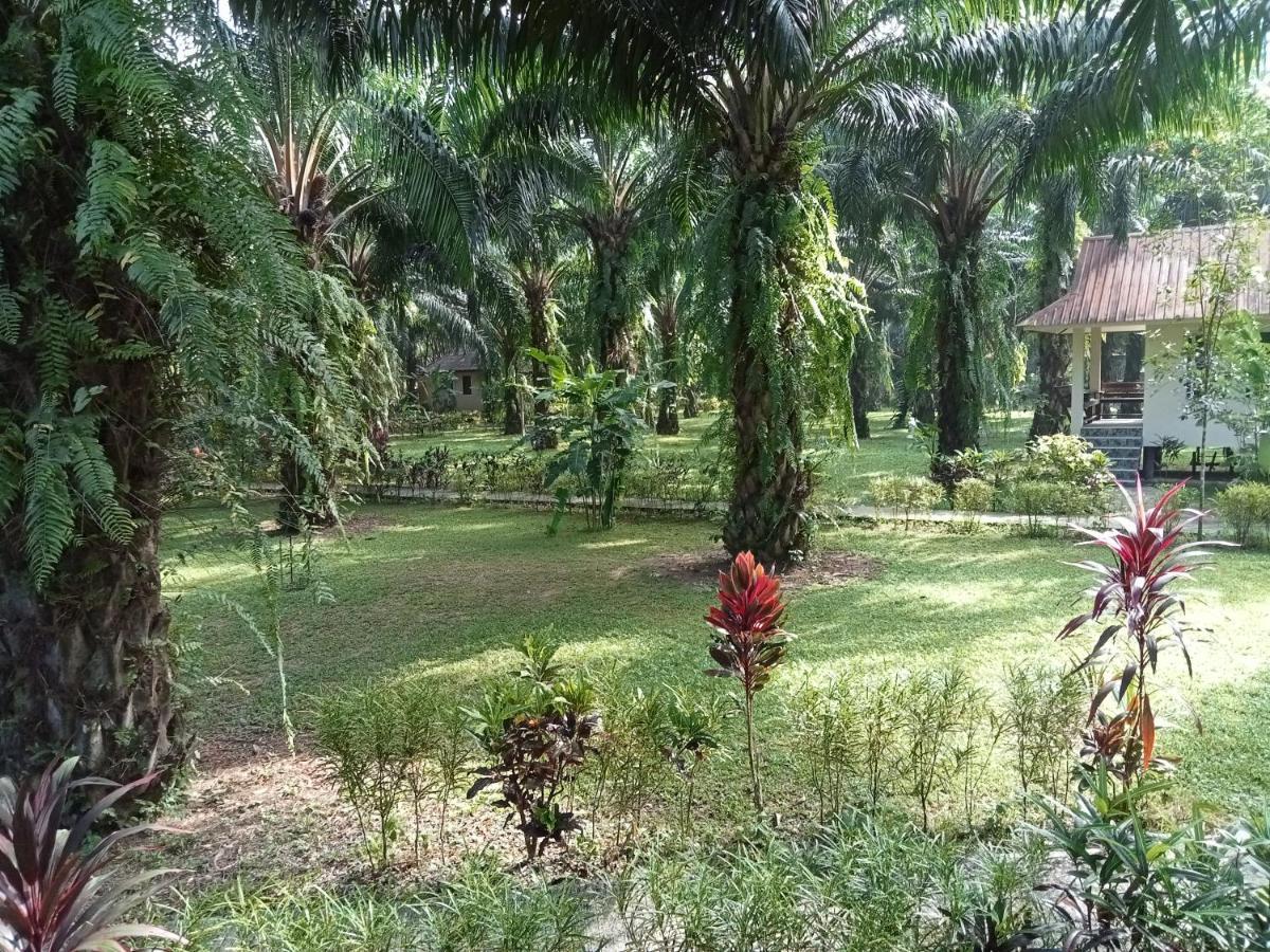 منتجع كاو سوك بالم جاردن Khao Sok National Park المظهر الخارجي الصورة