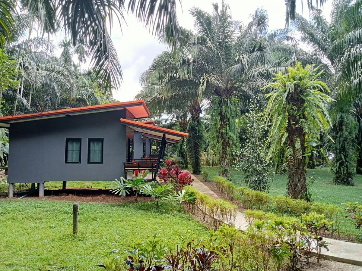 منتجع كاو سوك بالم جاردن Khao Sok National Park المظهر الخارجي الصورة