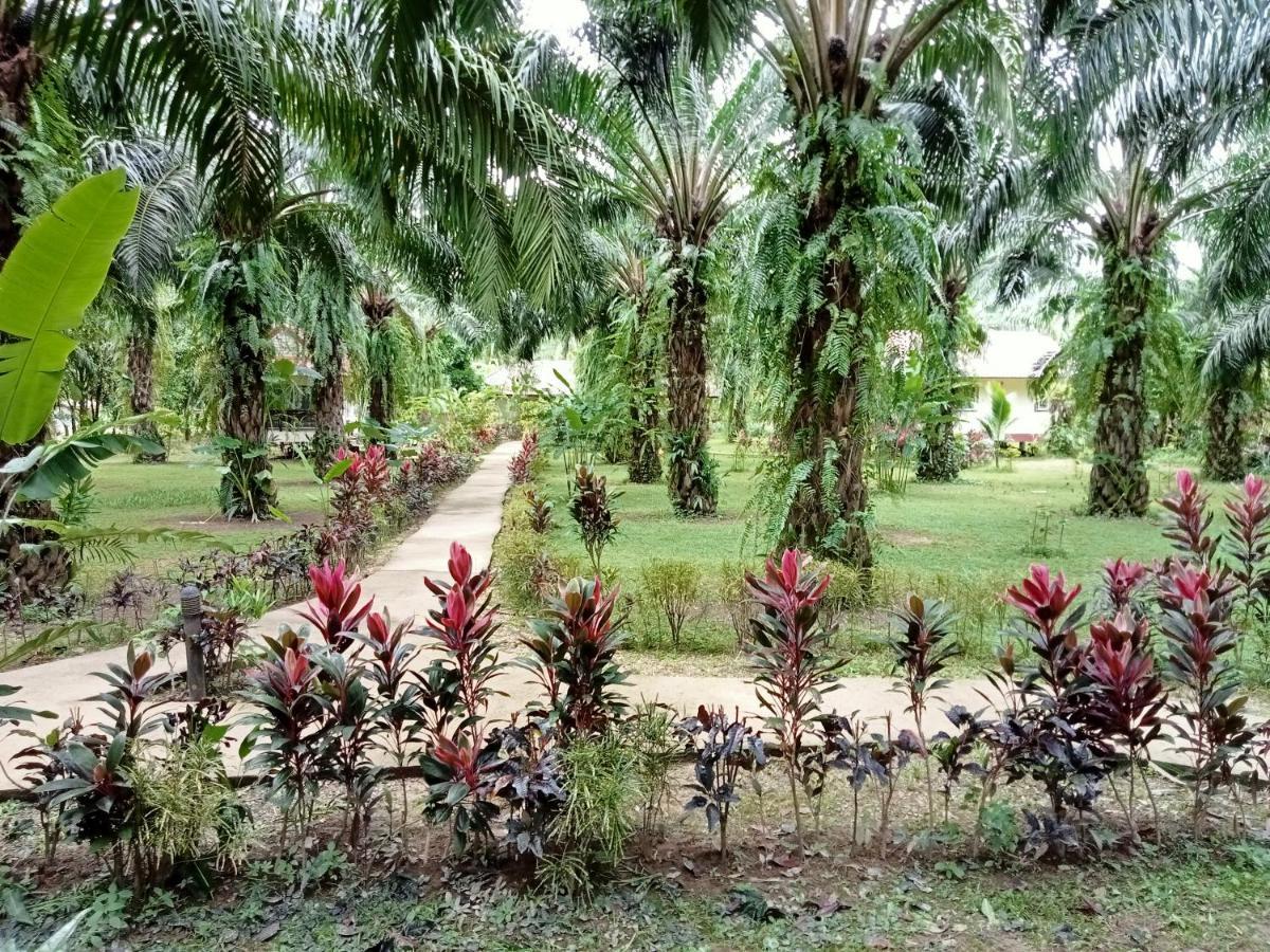 منتجع كاو سوك بالم جاردن Khao Sok National Park المظهر الخارجي الصورة