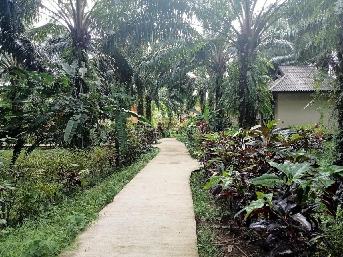 منتجع كاو سوك بالم جاردن Khao Sok National Park المظهر الخارجي الصورة
