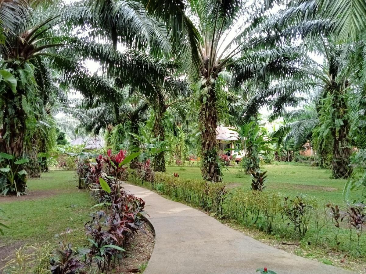 منتجع كاو سوك بالم جاردن Khao Sok National Park المظهر الخارجي الصورة