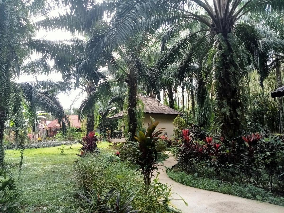 منتجع كاو سوك بالم جاردن Khao Sok National Park المظهر الخارجي الصورة