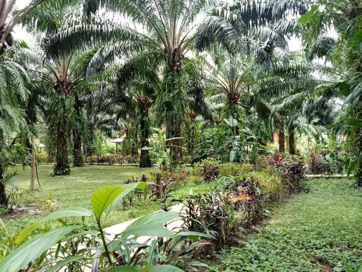 منتجع كاو سوك بالم جاردن Khao Sok National Park المظهر الخارجي الصورة